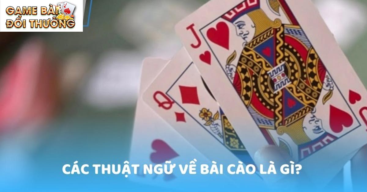 Giải đáp cơ bản về bài cào cho newbie