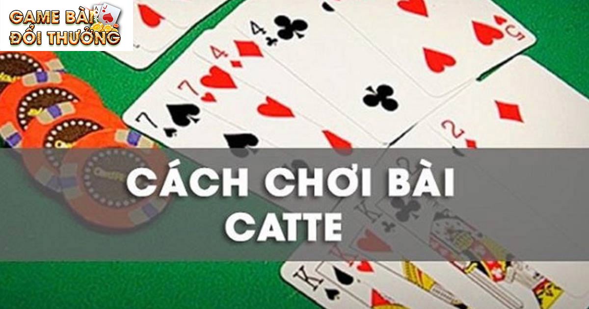 Cách chơi game bài catte đơn giản cho newbie